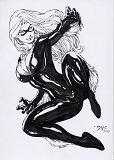 EB_BlackCatm